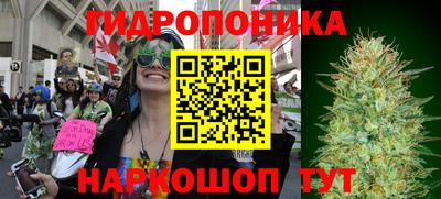 гашишное масло Гусев