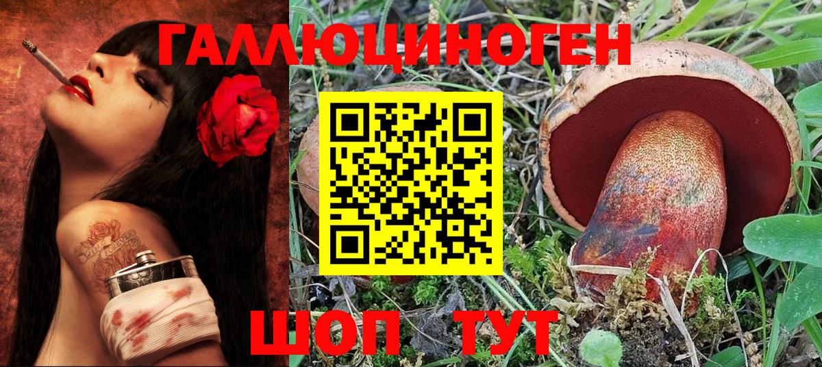 Галлюциногенные грибы Psilocybe Мценск