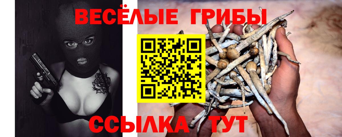 Галлюциногенные грибы Magic Shrooms  Вход с VPN  Мценск 